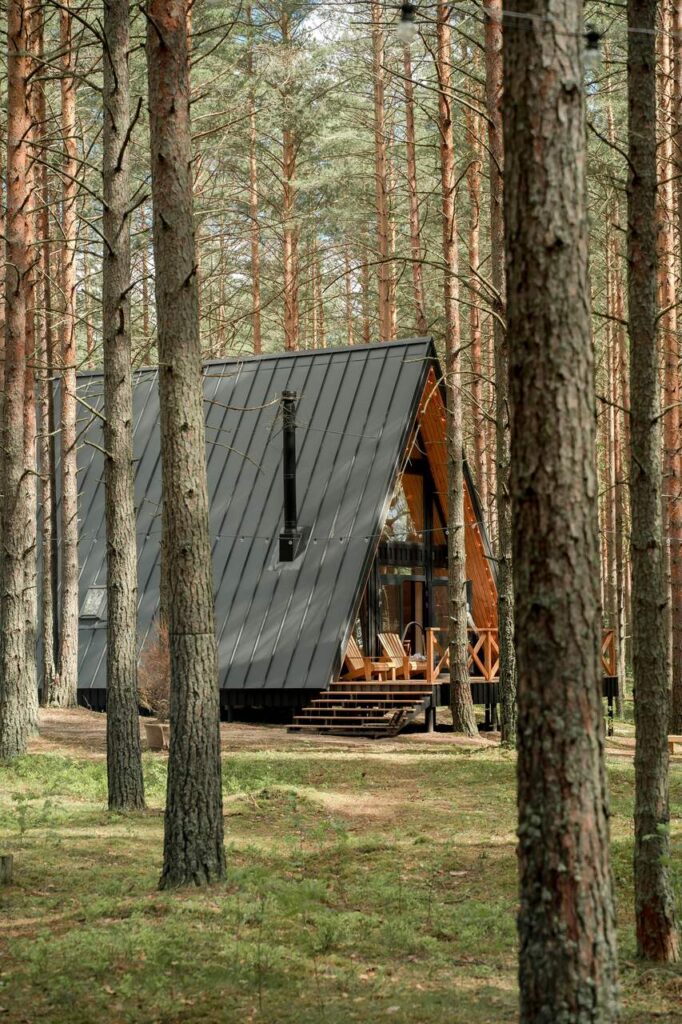 monconcept | monika kluska dom na wynajem